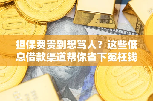 济南担保费贵到想骂人？这些低息借款渠道帮你省下冤枉钱