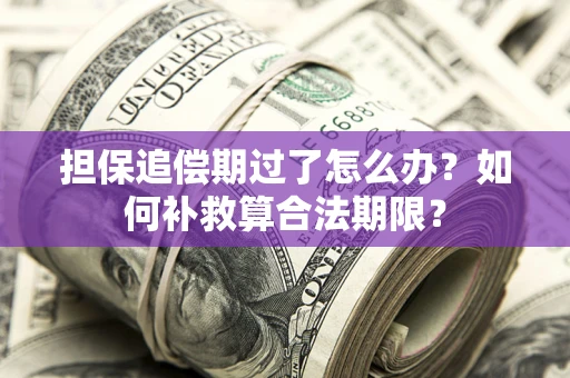 济南担保追偿期过了怎么办？如何补救算合法期限？