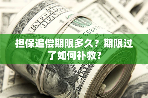 济南担保追偿期限多久？期限过了如何补救？