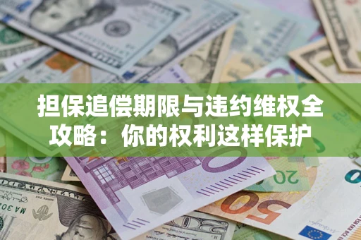 济南担保追偿期限与违约维权全攻略：你的权利这样保护