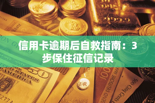 济南信用卡逾期后自救指南：3步保住征信记录